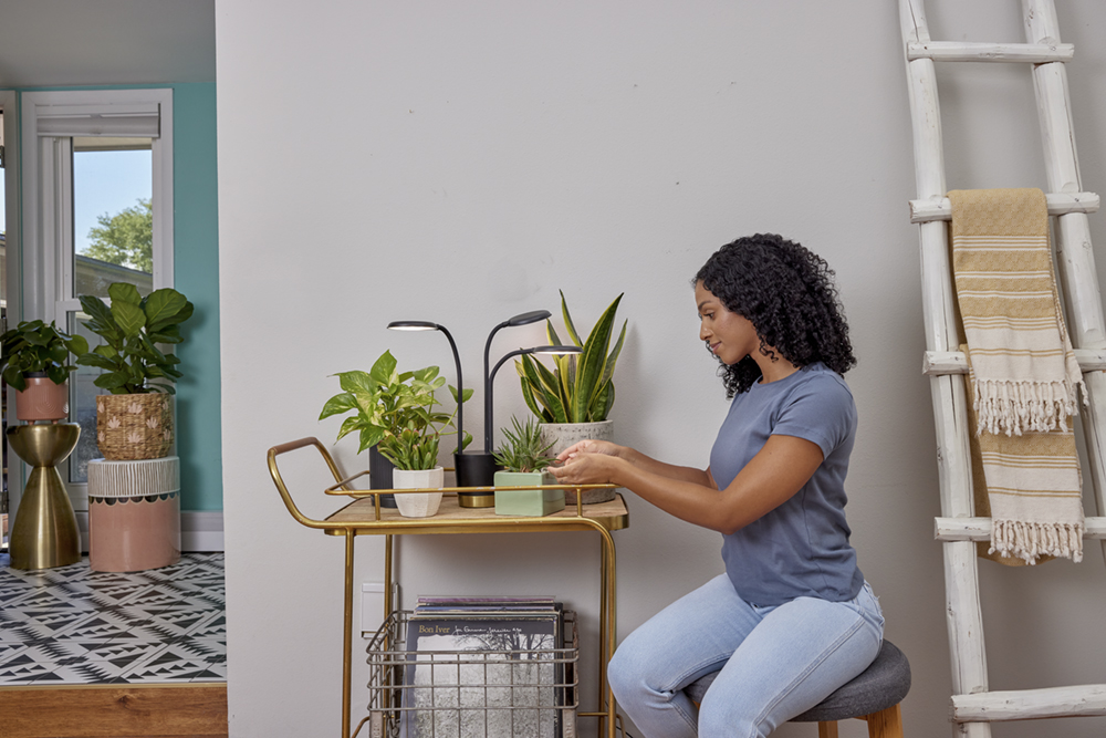 A plant lover