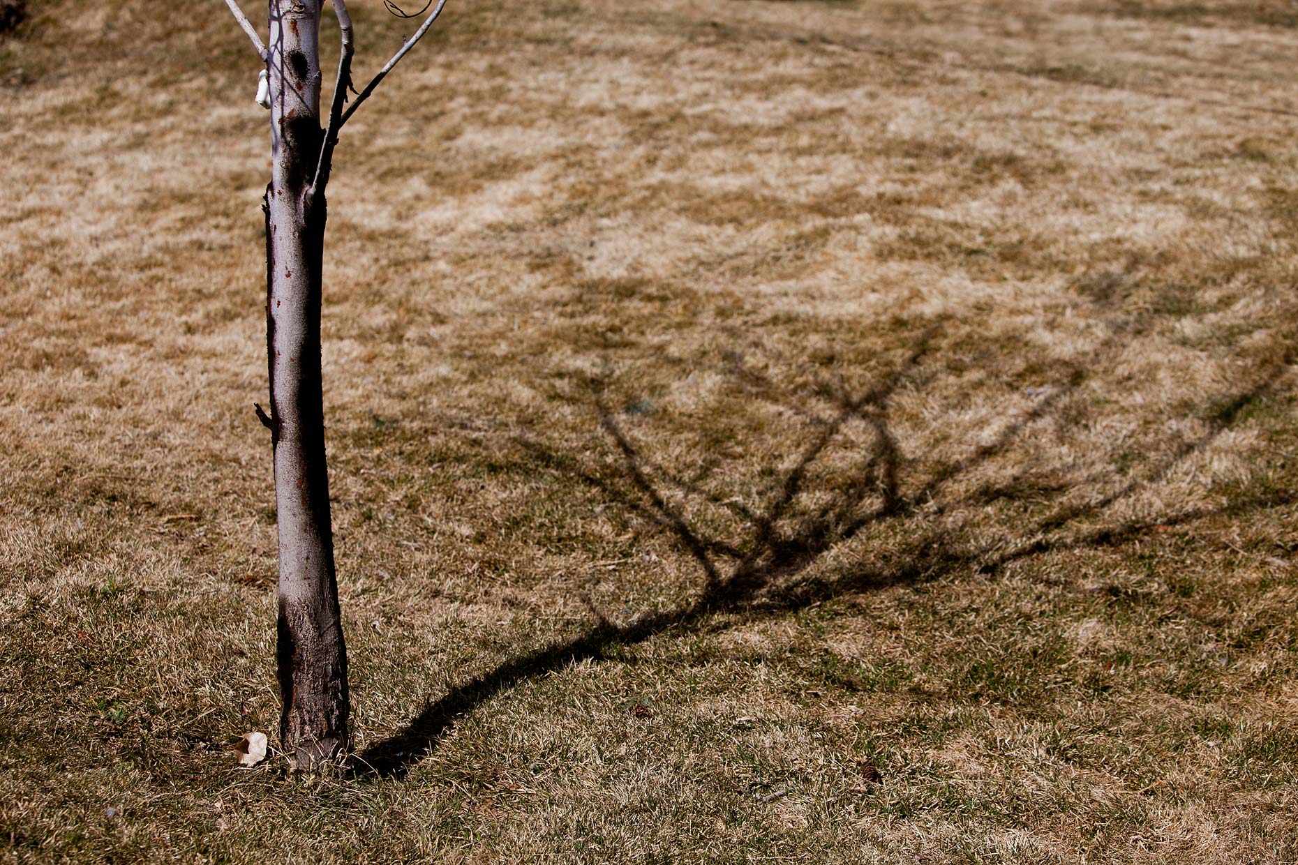 16_sidelined_March_2012_0011.jpg