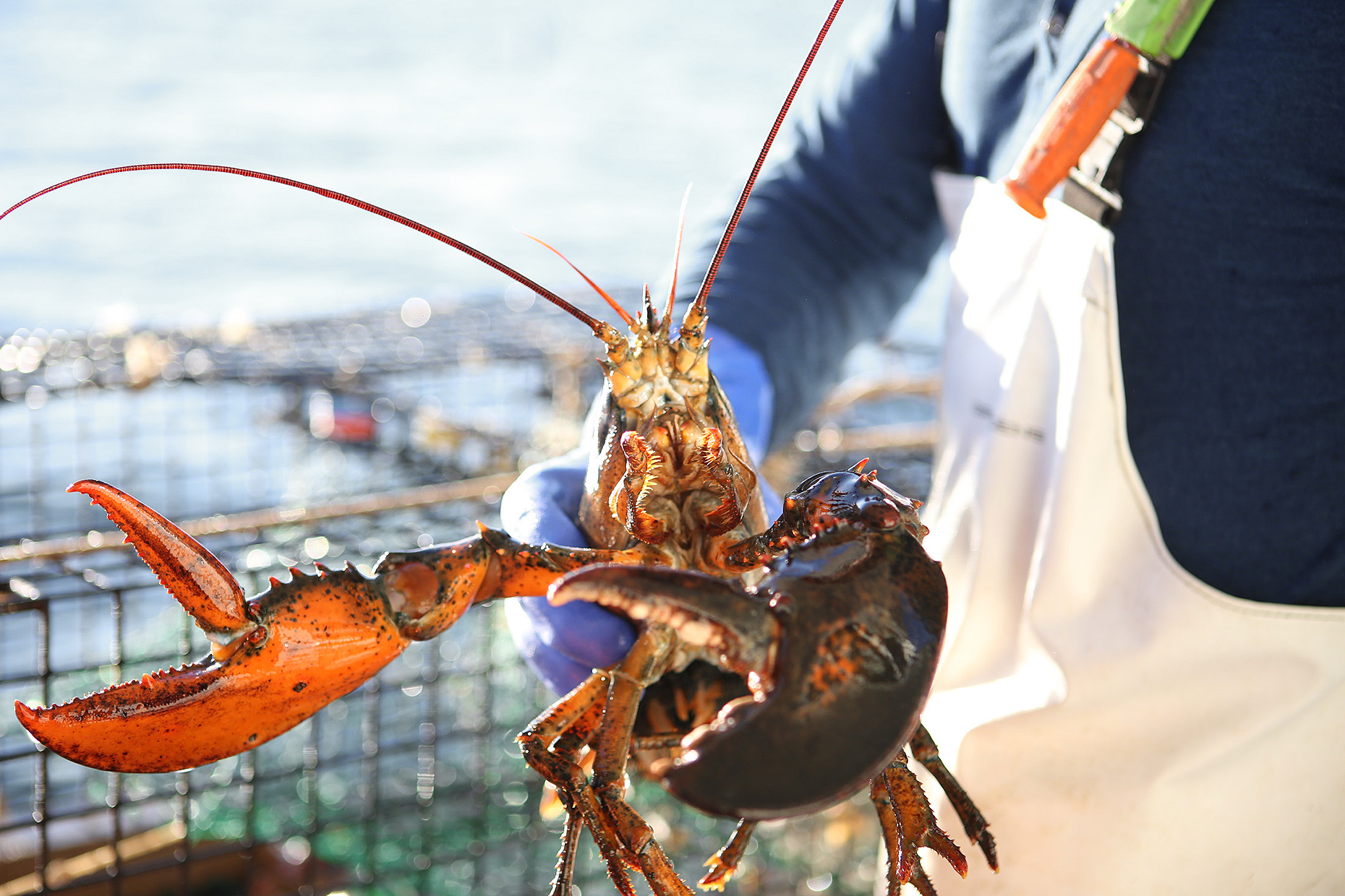 Lobster Boat in Casco Bay, ME