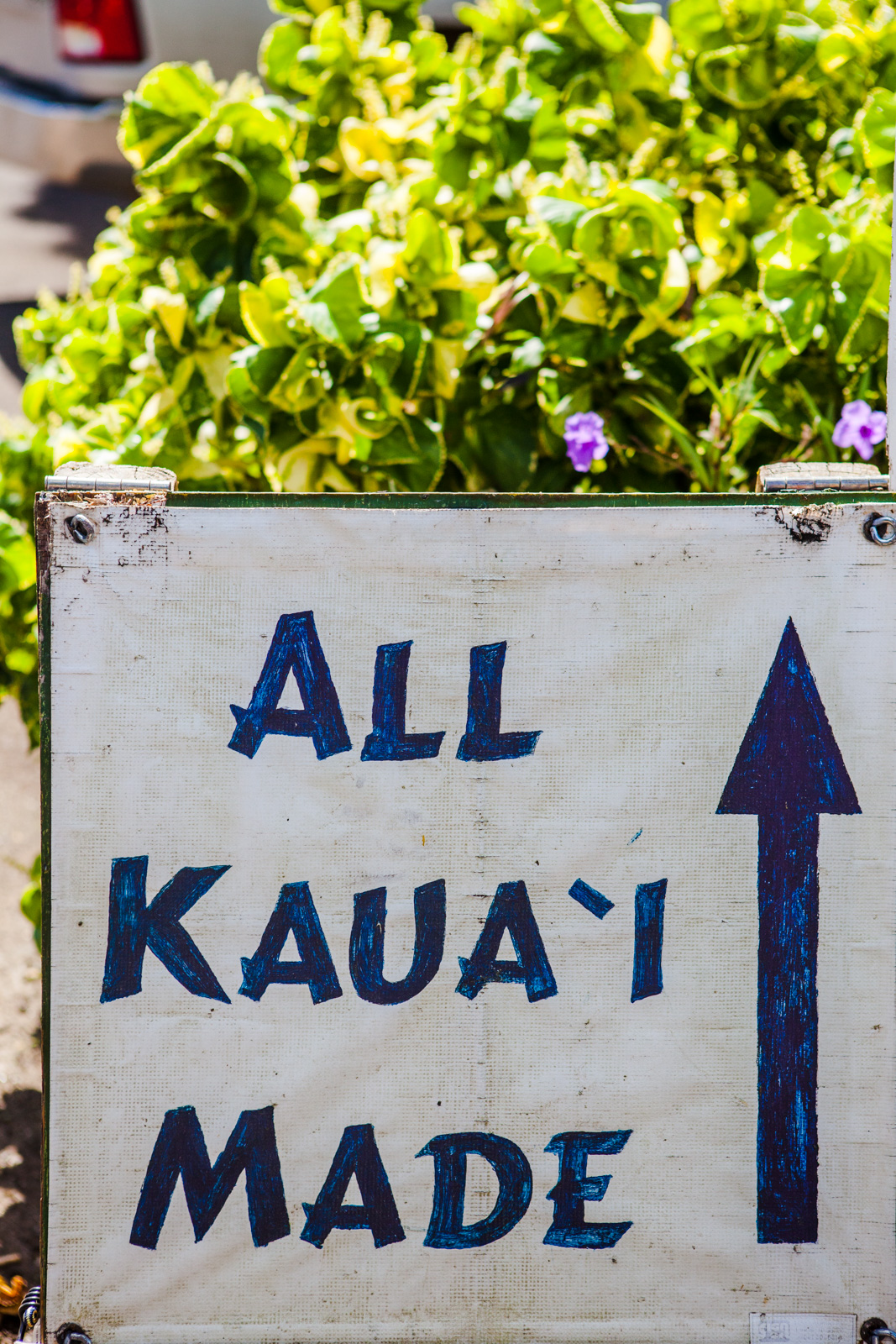 Kauai_Koloa_2018_0002