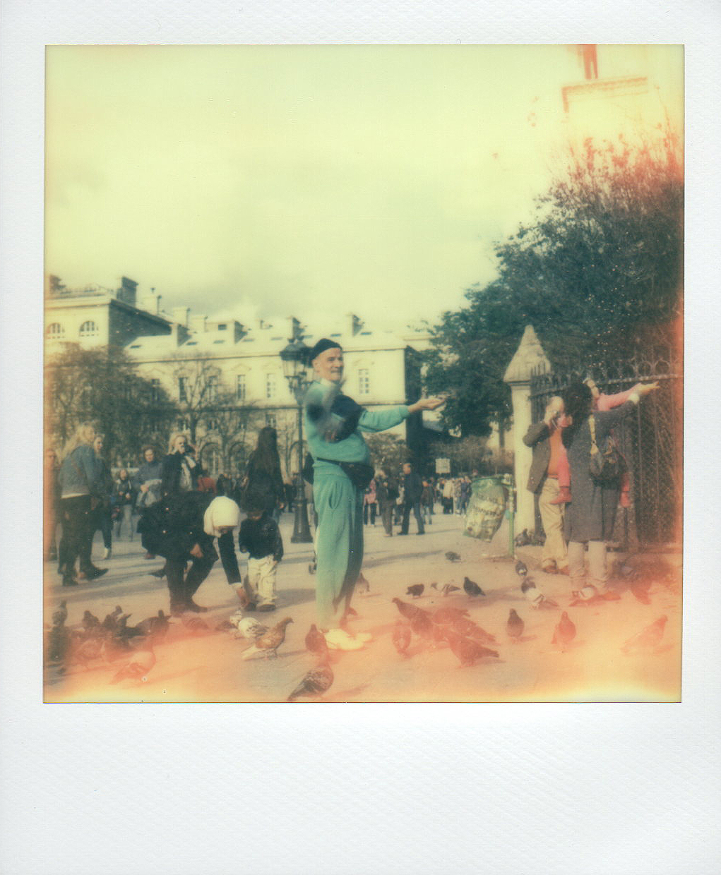 Paris_pigeons.jpg