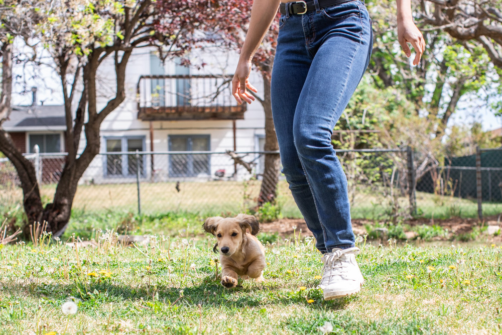 Snoops_Rebeeca_AcanaOutdoor2022_0450