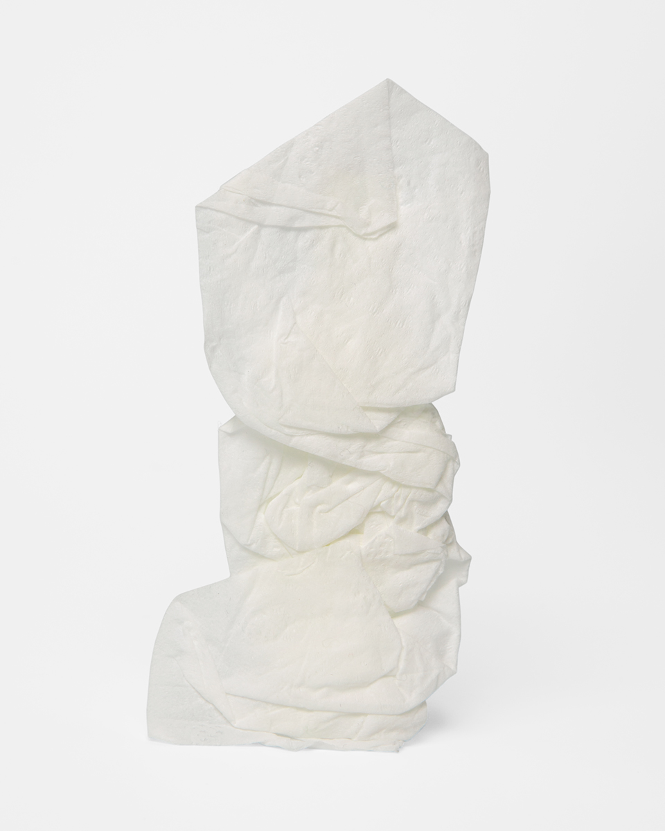 Tissue15_2020_0002